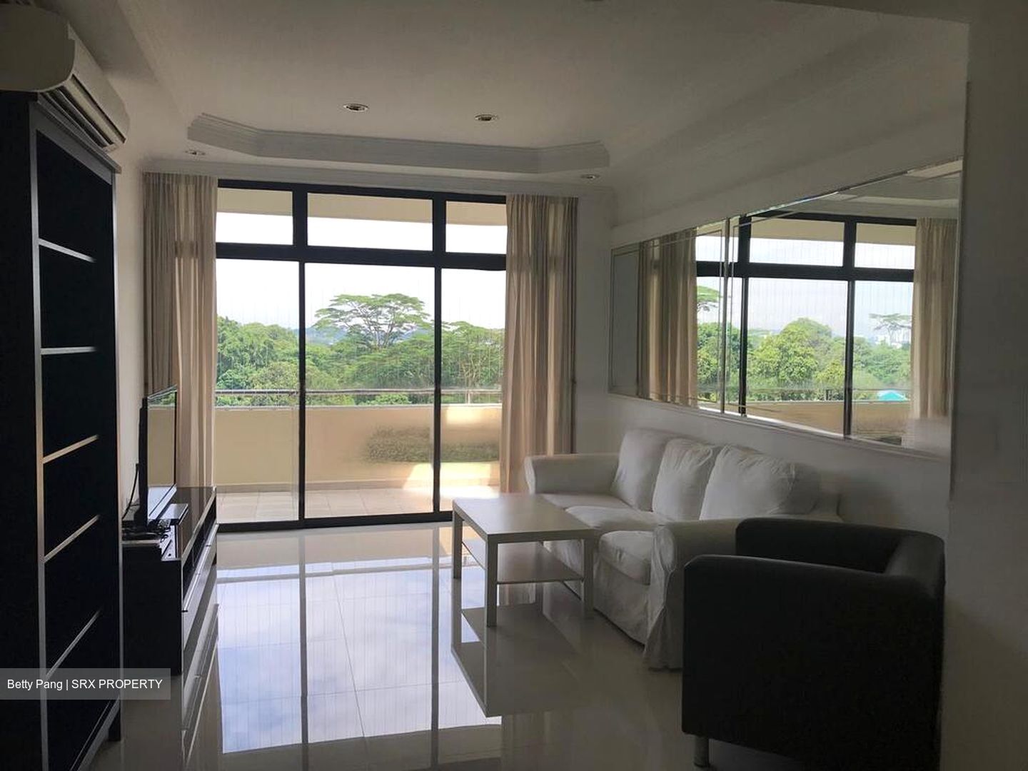 Allsworth Park (D10), Condominium #460819651